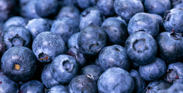 mybacs product ingredient