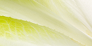mybacs product ingredient