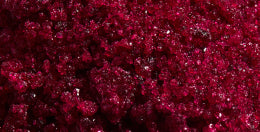 mybacs product ingredient