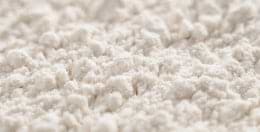 mybacs product ingredient