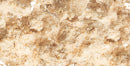 mybacs product ingredient