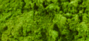 mybacs product ingredient