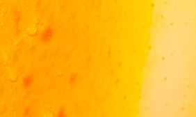 mybacs product ingredient