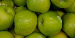 mybacs product ingredient
