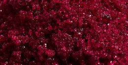 mybacs product ingredient