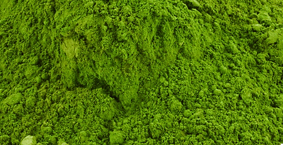 Chlorella