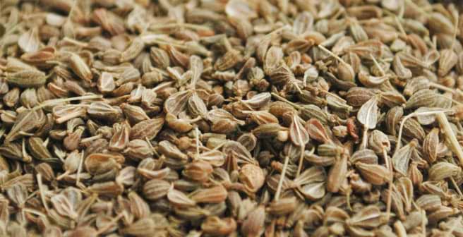 Semillas de alcaravea