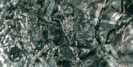 mybacs product ingredient