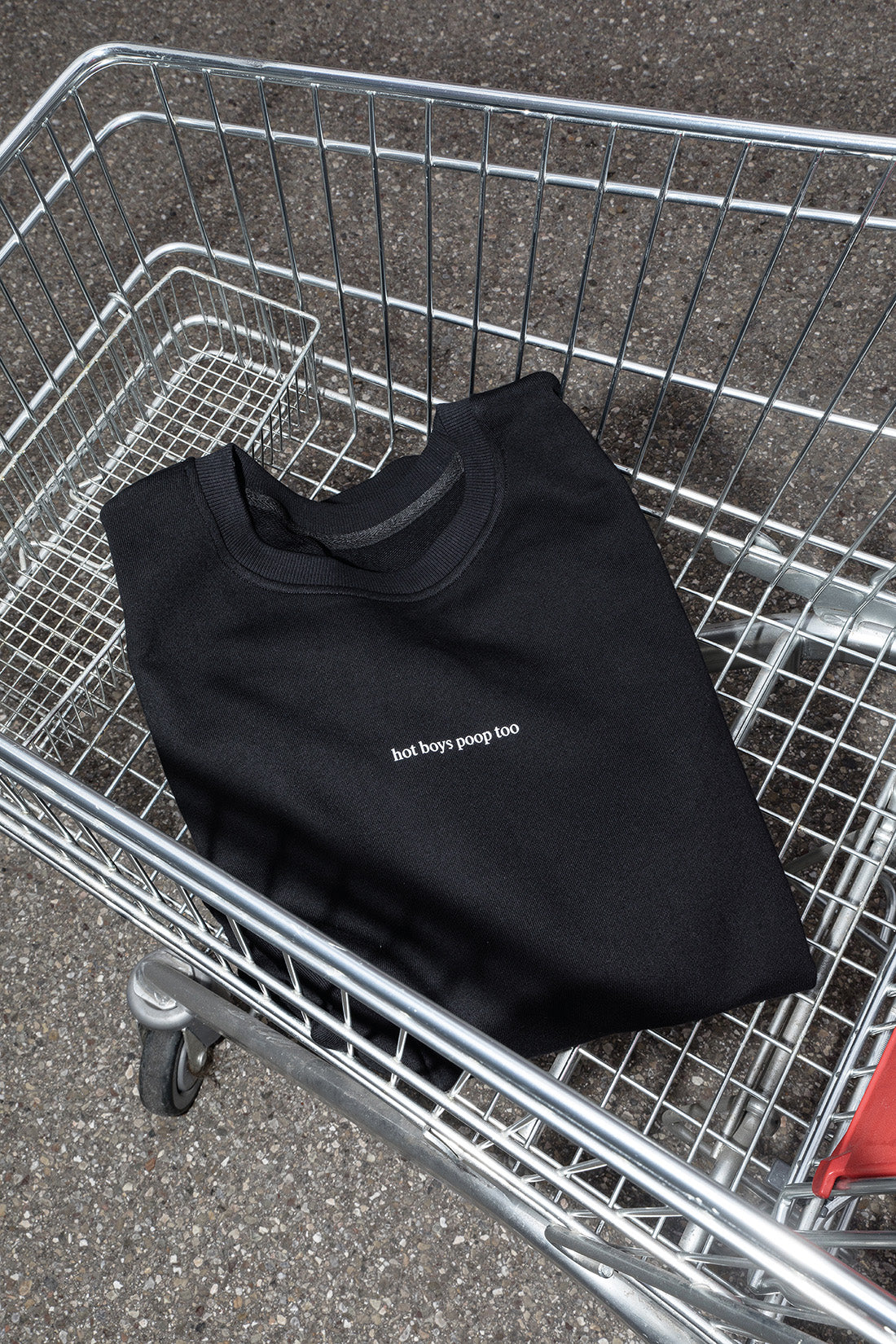 Sweatshirt "Hot boys poop too"