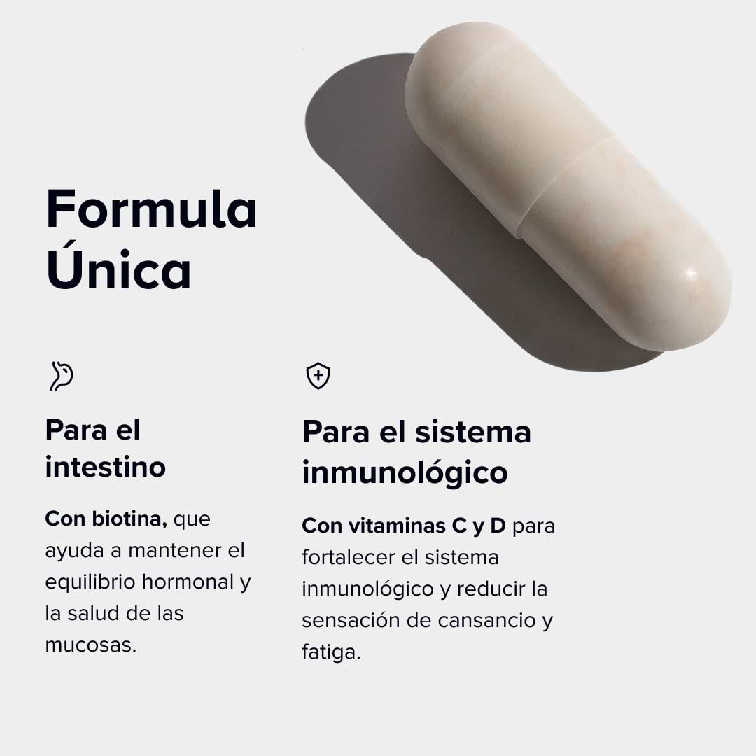 Dailybacs Mujeres