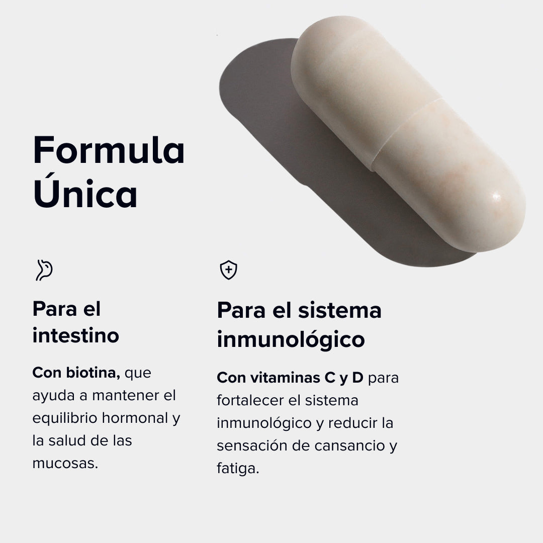Dailybacs Mujeres