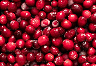 Estratto di mirtillo rosso