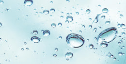 mybacs product ingredient