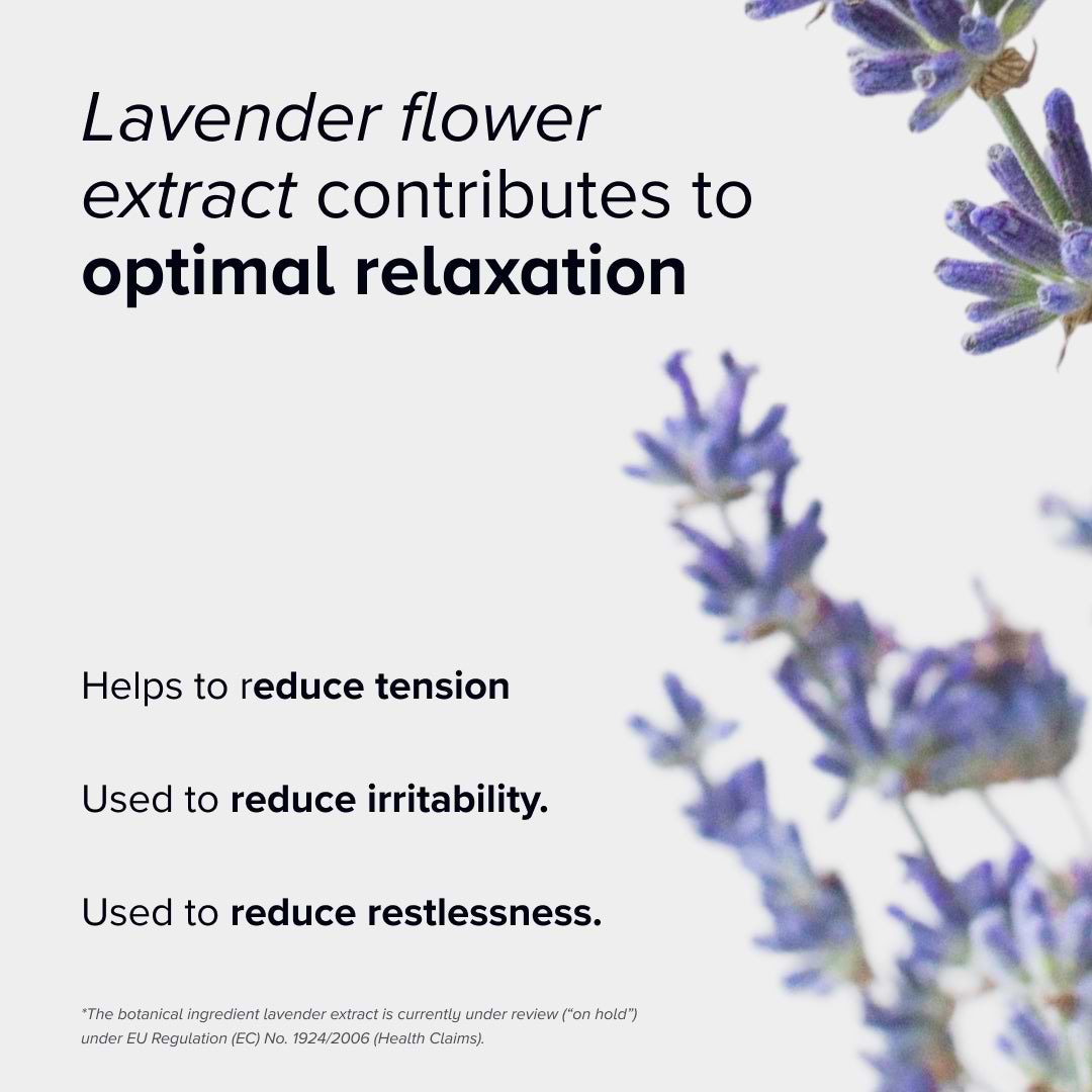 lavender plant help sleep Deep Sleep