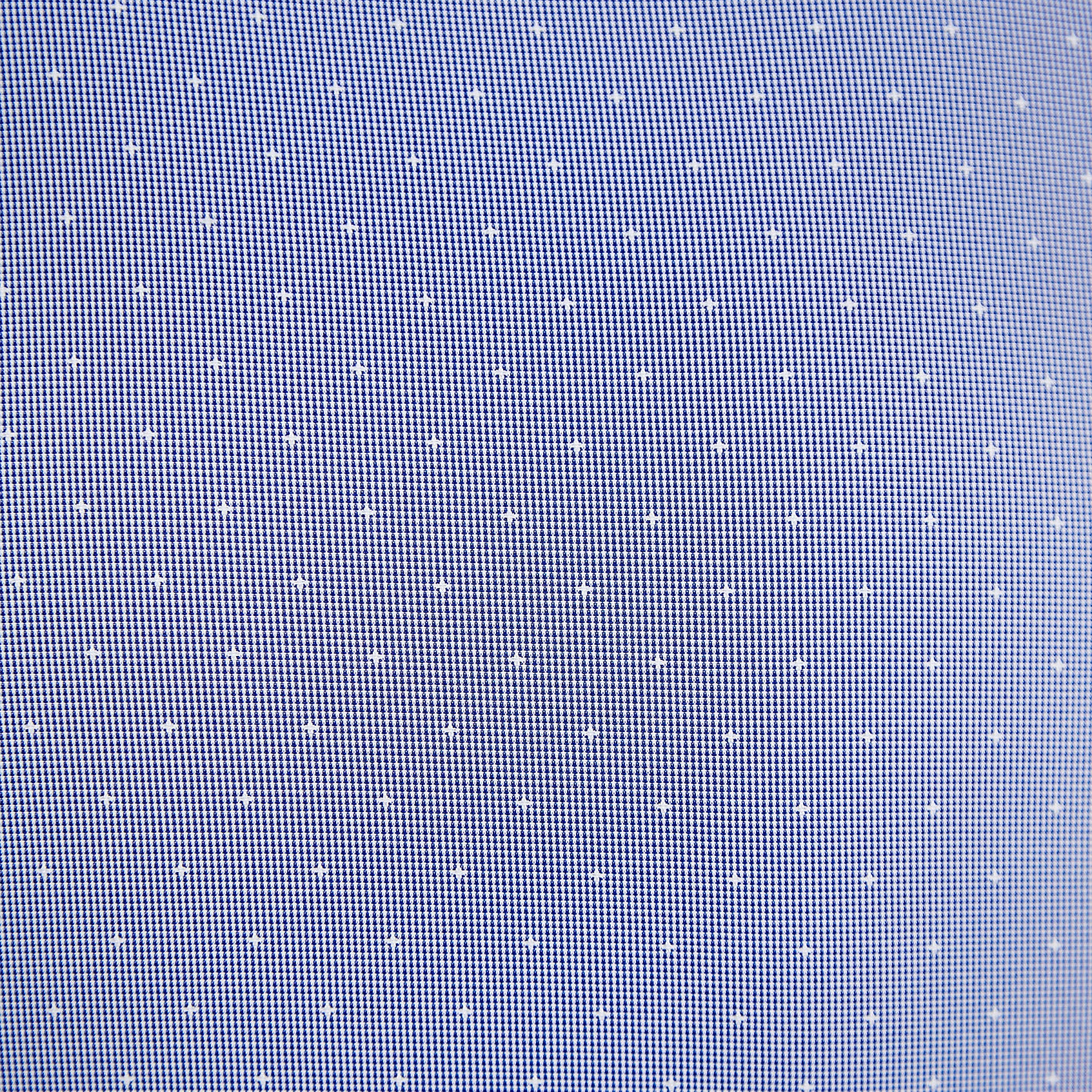 "The Lambert" Blue with White Dots