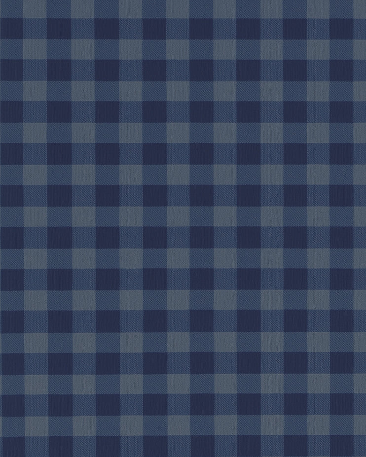 "The Petoskey" Navy & Blue Big Gingham