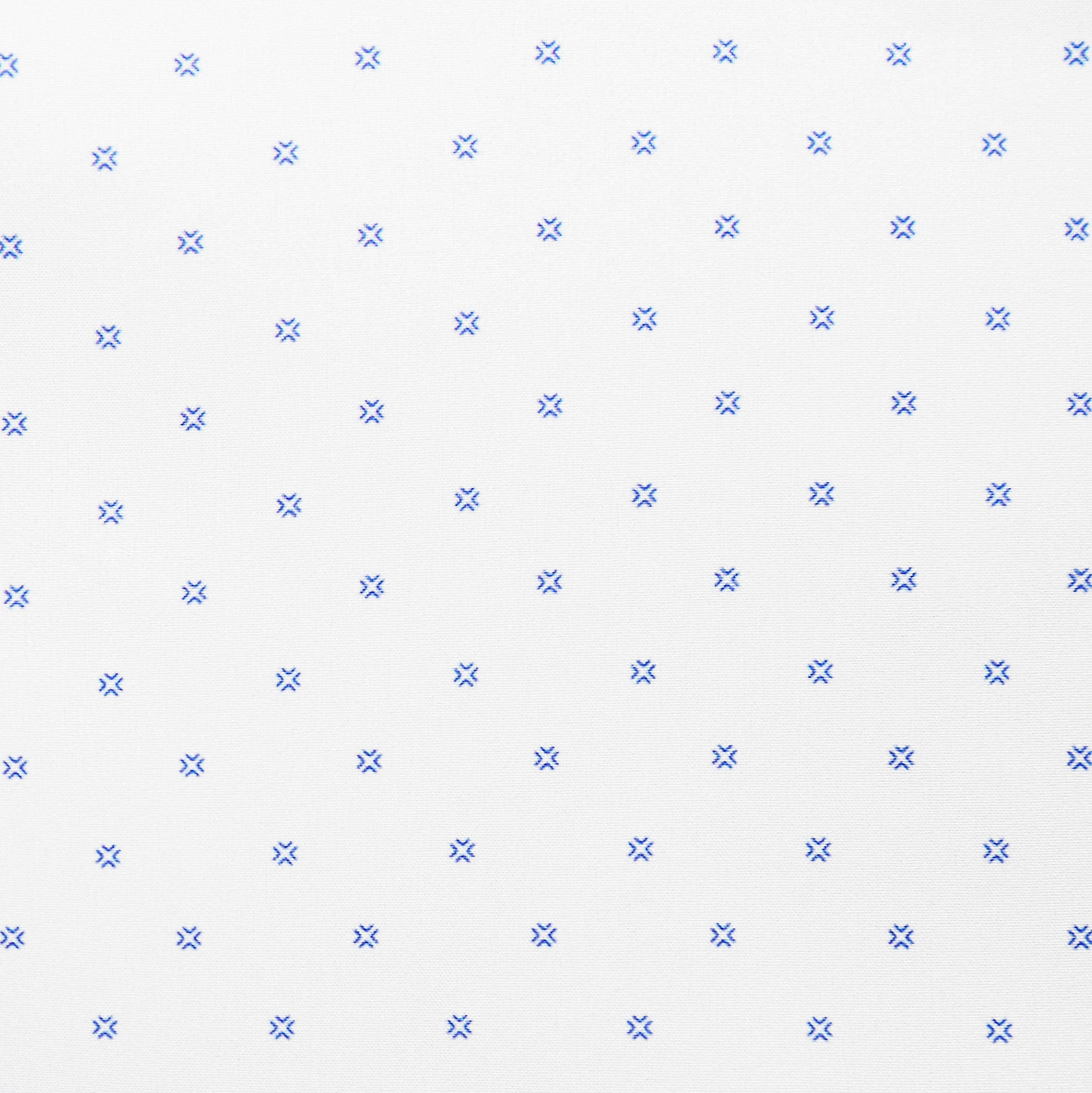 "The Ryder" Blue Plus Print