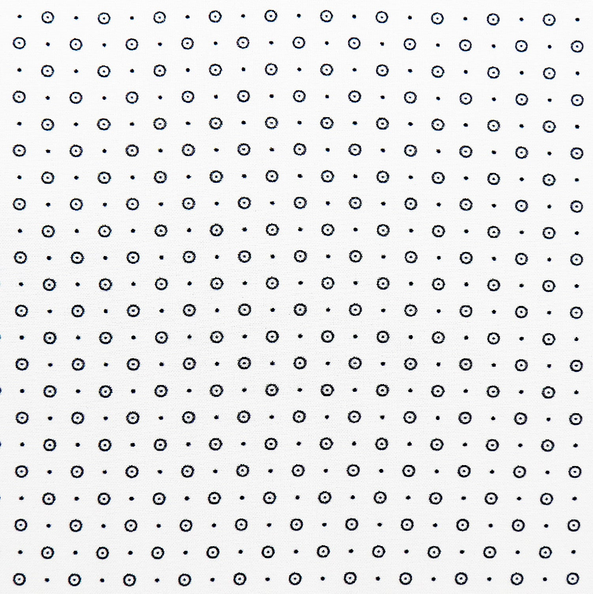 "The Axwell" Black Circle With Dots