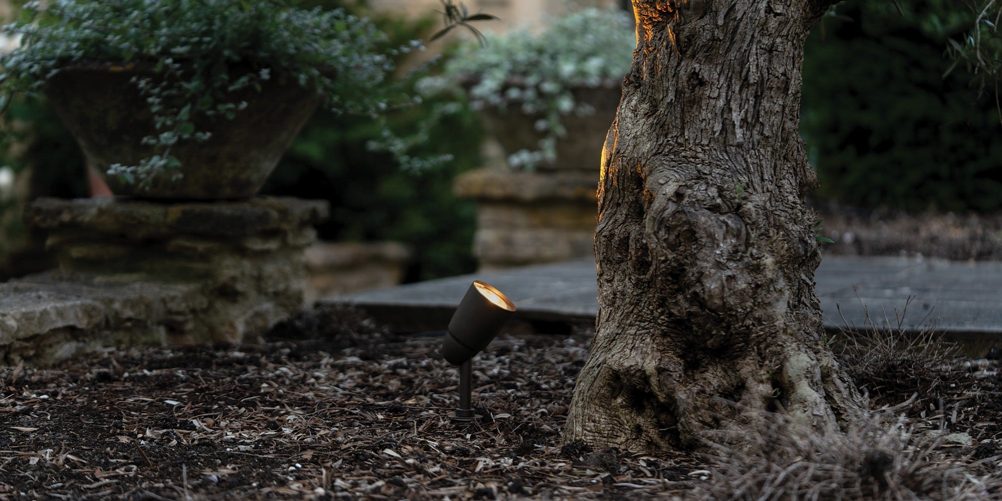 Tree trunk illuminated by a solid brass 'Ealing Ground Spotlight' in a bold yet subtle bronze finish.