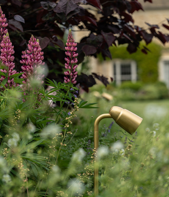 Close-up 'Ealing Path Spotlight' in solid brass, angled downwards towards surrounding flowers.