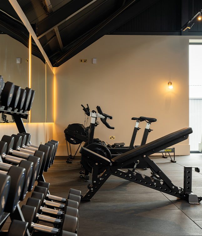 Freshly decorated gym featuring a variety of machines and workout equipment.