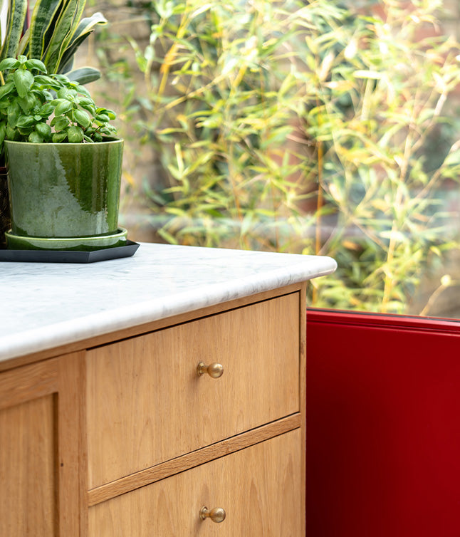 A potted plant on a marble countertop with a wooden cabinet and a bamboo garden visible through a window.