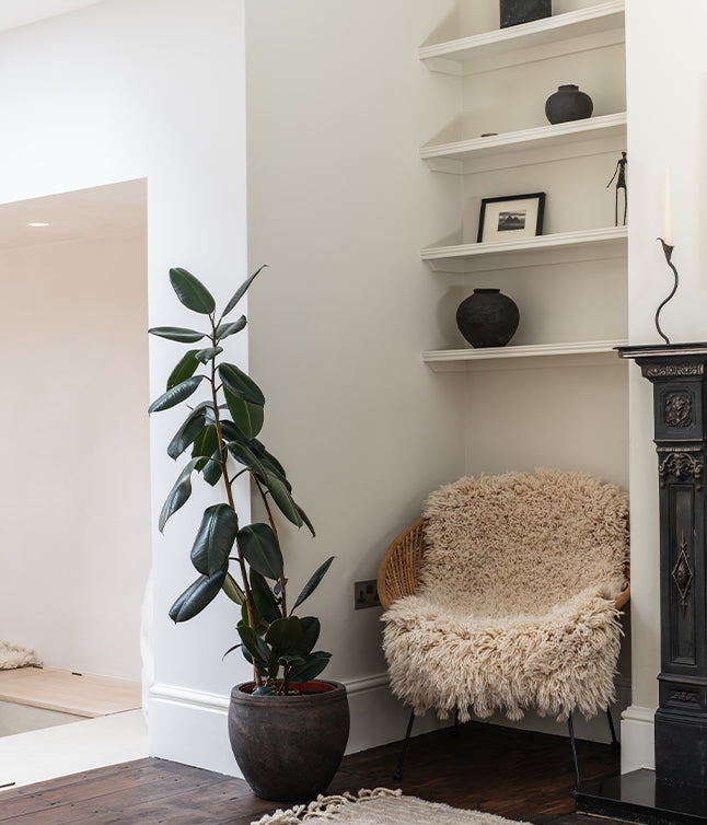 A living space with a plants, home furnishings and a switch behind