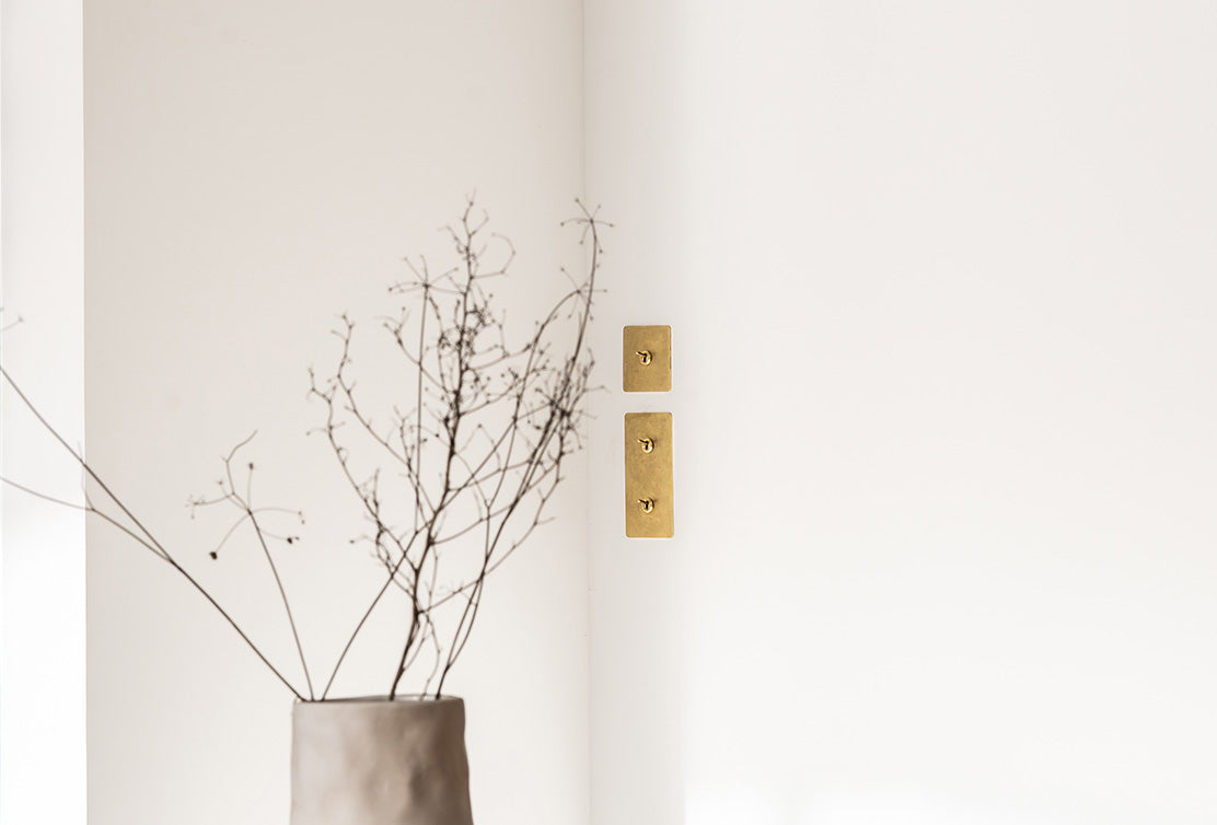 A minimalist interior featuring three brass wall switches beside a dried plant in a simple vase on a white wall.