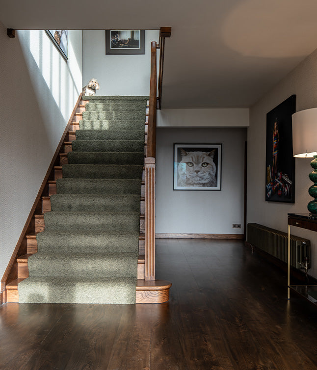 A cozy hallway featuring a carpeted staircase, a small dog resting on the steps, and framed artwork on the walls.