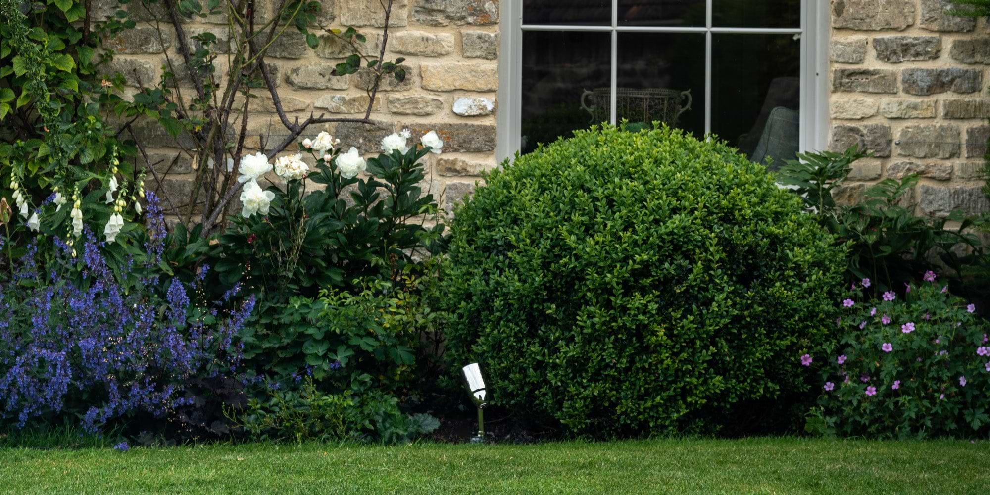Garden border filled with plants, with a polished nickel 'Ealing Ground Spotlight' positioned facing them.