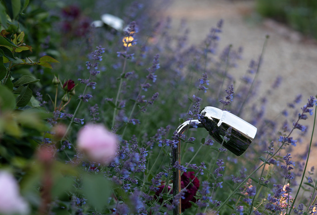 Close-up 'Ealing Path Spotlight' in a polished nickel finish, illuminating lavendar and a garden path at dusk.
