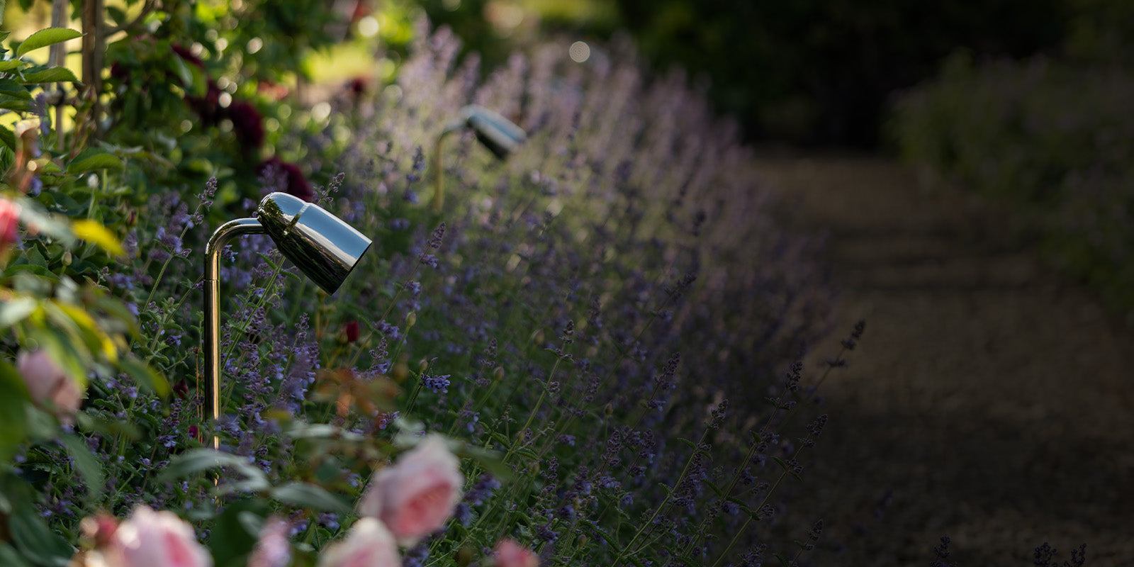 So beleuchten Sie bestimmte Gartenbereiche richtig aus