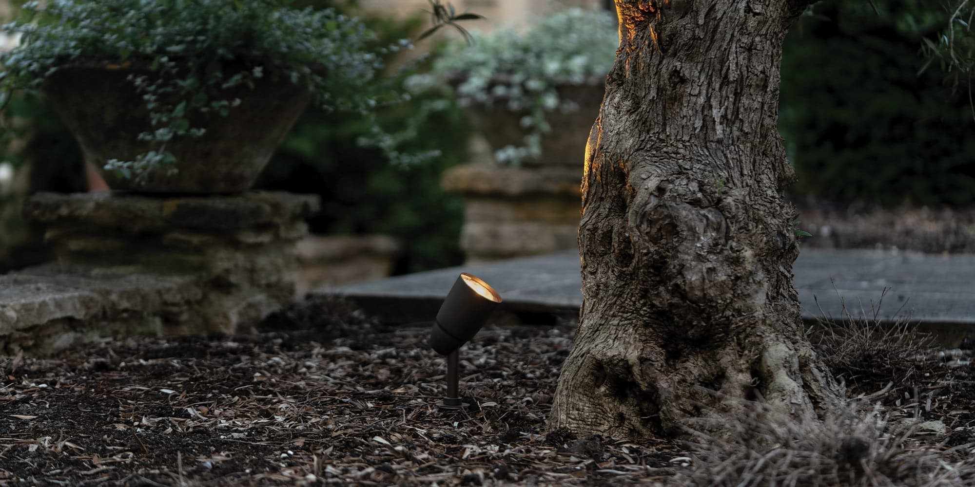 Tree trunk illuminated by a solid brass 'Ealing Ground Spotlight' in a bold yet subtle bronze finish.