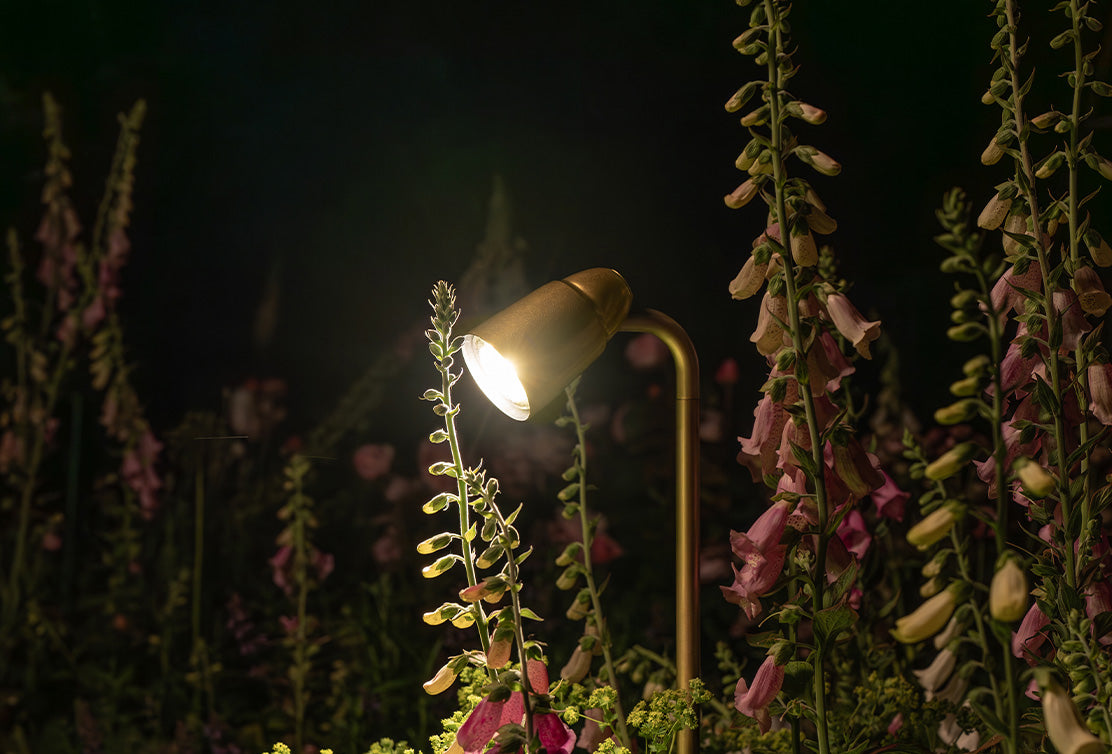 Lit antique brass 'Ealing Path Spotlight', exhibiting nearby foxgloves during the nighttime darkness.