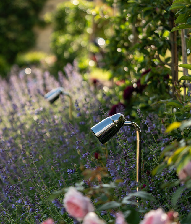 Set of warm polished nickel 'Ealing Path Spotlights' nestled in a shaded flowerbed.