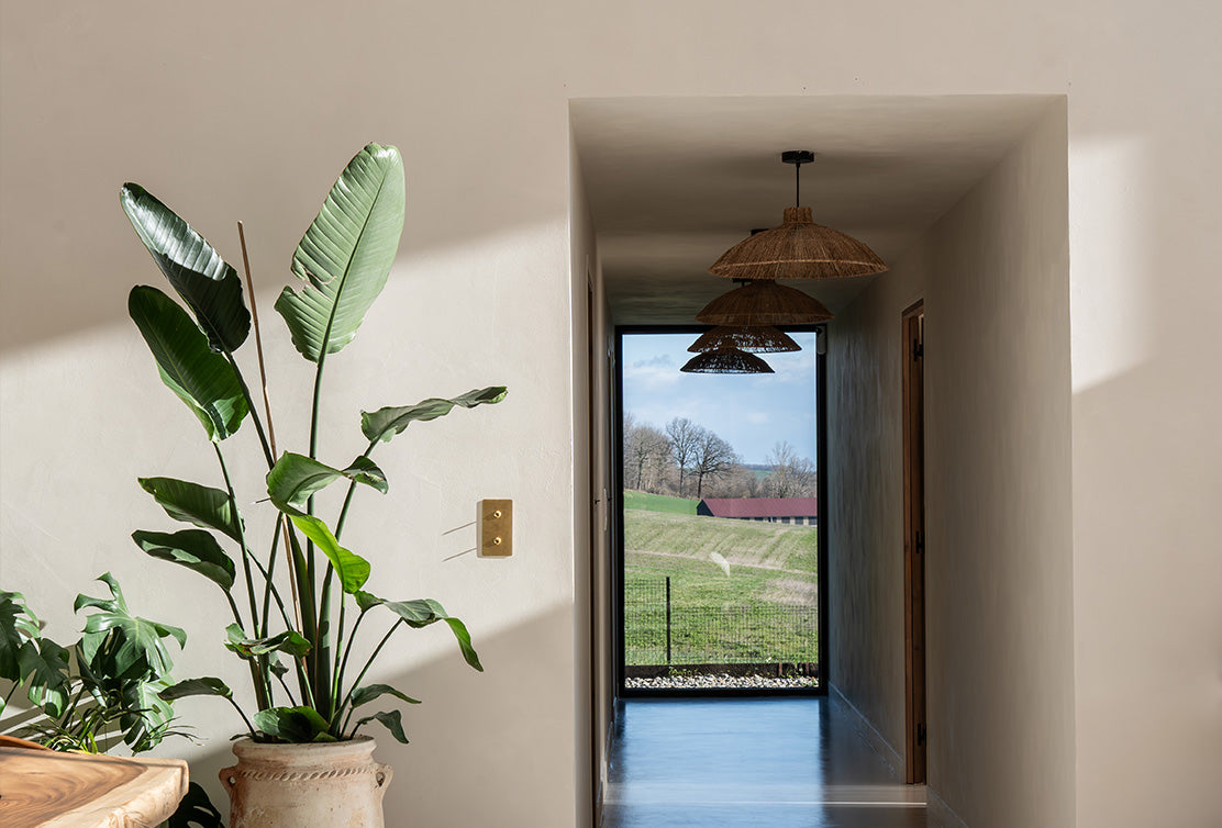 A bright hallway features a large potted plant and woven pendant lights, leading to a scenic view of green fields and a red barn.