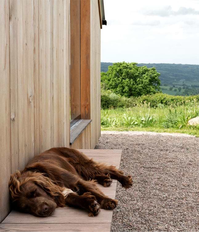 A brown dog sleeps peacefully on a wooden porch, overlooking a green landscape with distant hills and cloudy skies.