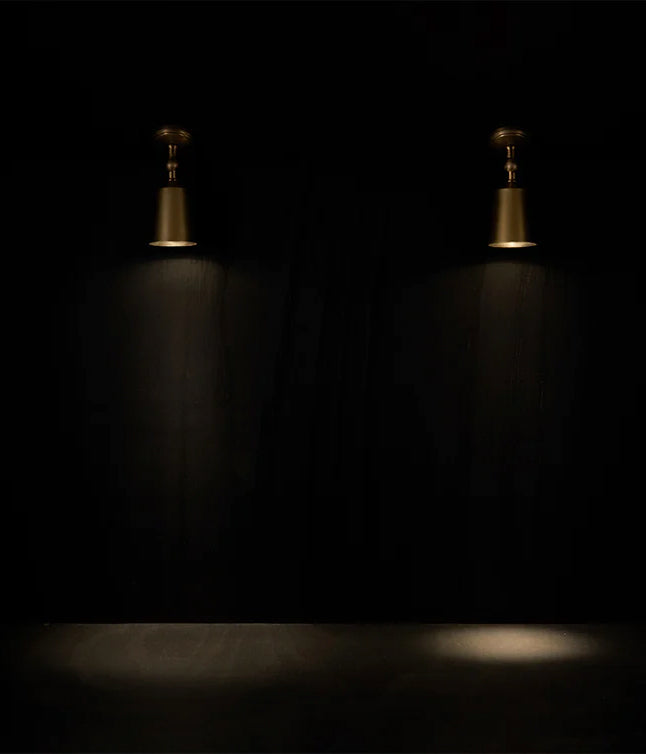 Two brass ceiling lights illuminate a dark wooden wall, creating a dramatic and elegant ambiance. The background remains fully black.