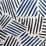 Wissel-Tuimelschakelaar Enkele Afdekplaat, Doorzichtig/Gepolijst Nikkel, voor Schakelaars & Dimmers.