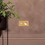 USB-C 30W Voedingsmodule & Rond Type E Stopcontact met dubbele afdekplaat in antieke messing (met inzetstuk).