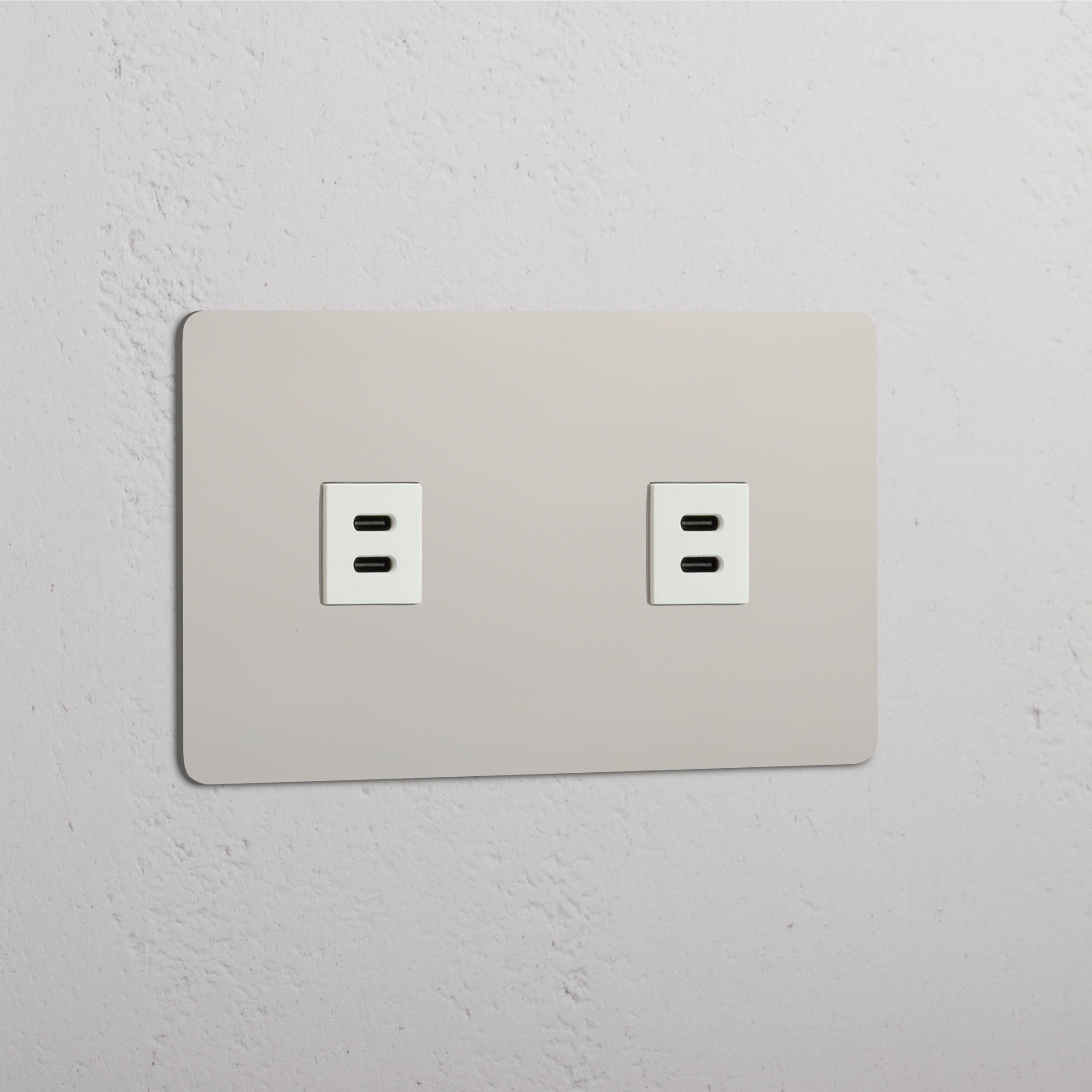 Dubbele Razendsnelle Oplaadaansluiting: Gepolijst Nikkel Wit Dubbele 2x USB Module