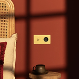 Dubbele afdekplaat van antiek messing met tuimelschakelaar en Schuko type F-stopcontact (zwarte inzet).