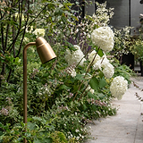 Ealing Pad Spotlight - Antiek Messing, een buitenspot van messing, verlicht een tuinpad te midden van groen.