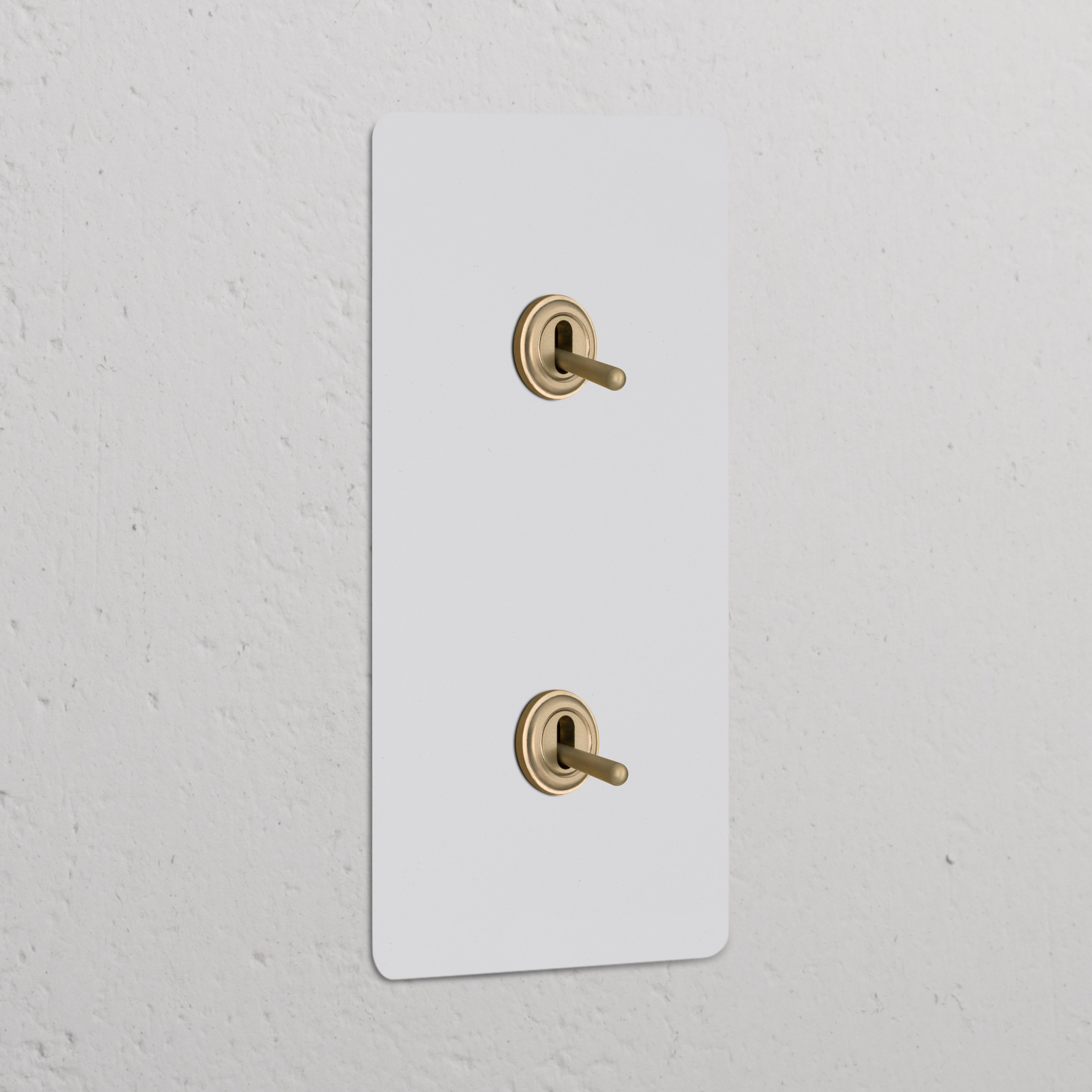 Dubbele verticale tuimelschakelaars in overschilderbaar antiek messing, 2x Wissel-Tuimelschakelaar met decoratieve afdekplaat.