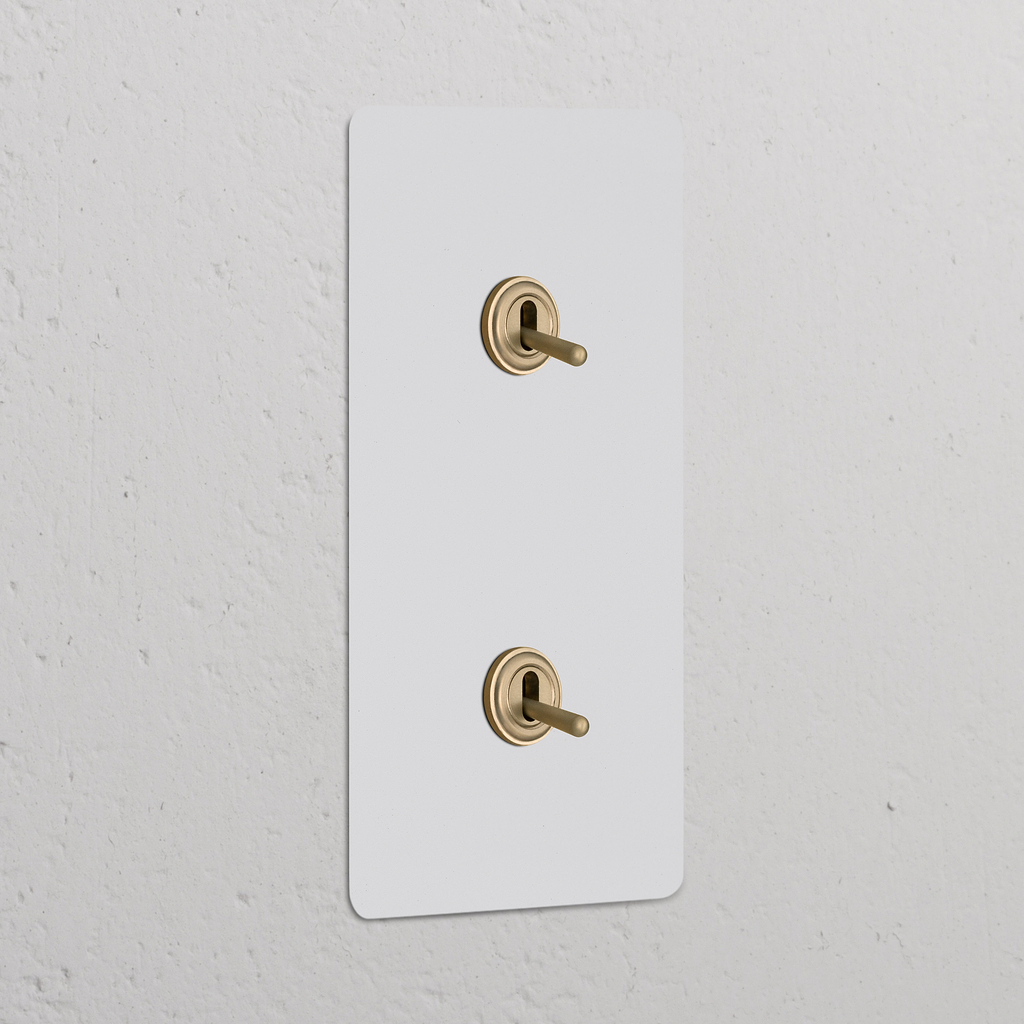 Dubbele verticale tuimelschakelaars in overschilderbaar antiek messing, 2x Wissel-Tuimelschakelaar met decoratieve afdekplaat.