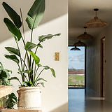 Antiek messing 2x dubbele verticale schakelaar op de muur gemonteerd op de rand van de muur achter een plant.