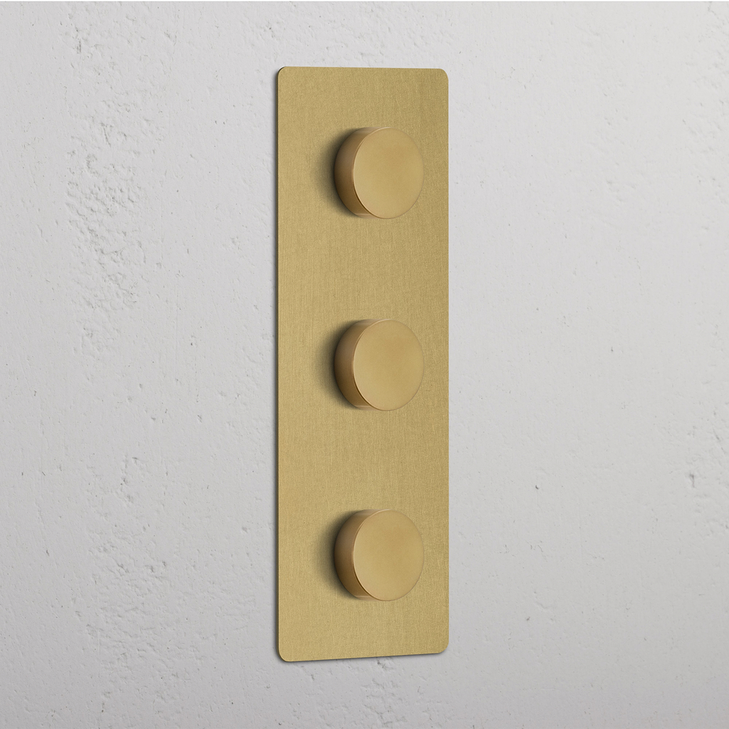 Antiek Messing Drievoudige Dimmer Schakelaar met  Verticale Regeling - Lichte Bediening