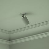 Brompton Spotlight 50mm - Beschilderbare spots voor plafond, ideaal voor individuele kamerverlichting.