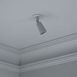 Pembroke Spotlight 35mm - Beschilderbare Spotlights met een strak design, perfect voor minimalistische plafonds.