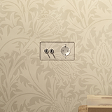 Dubbel afdekkingspaneel met twee tuimelschakelaars en Schuko-stopcontact, gepolijste nikkelafwerking met witte inzet.